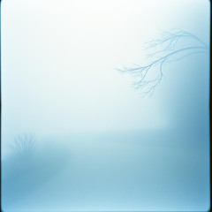 My Way - (Version 2)