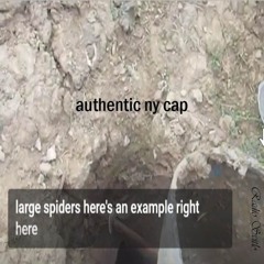 Authentic ny cap Radio set