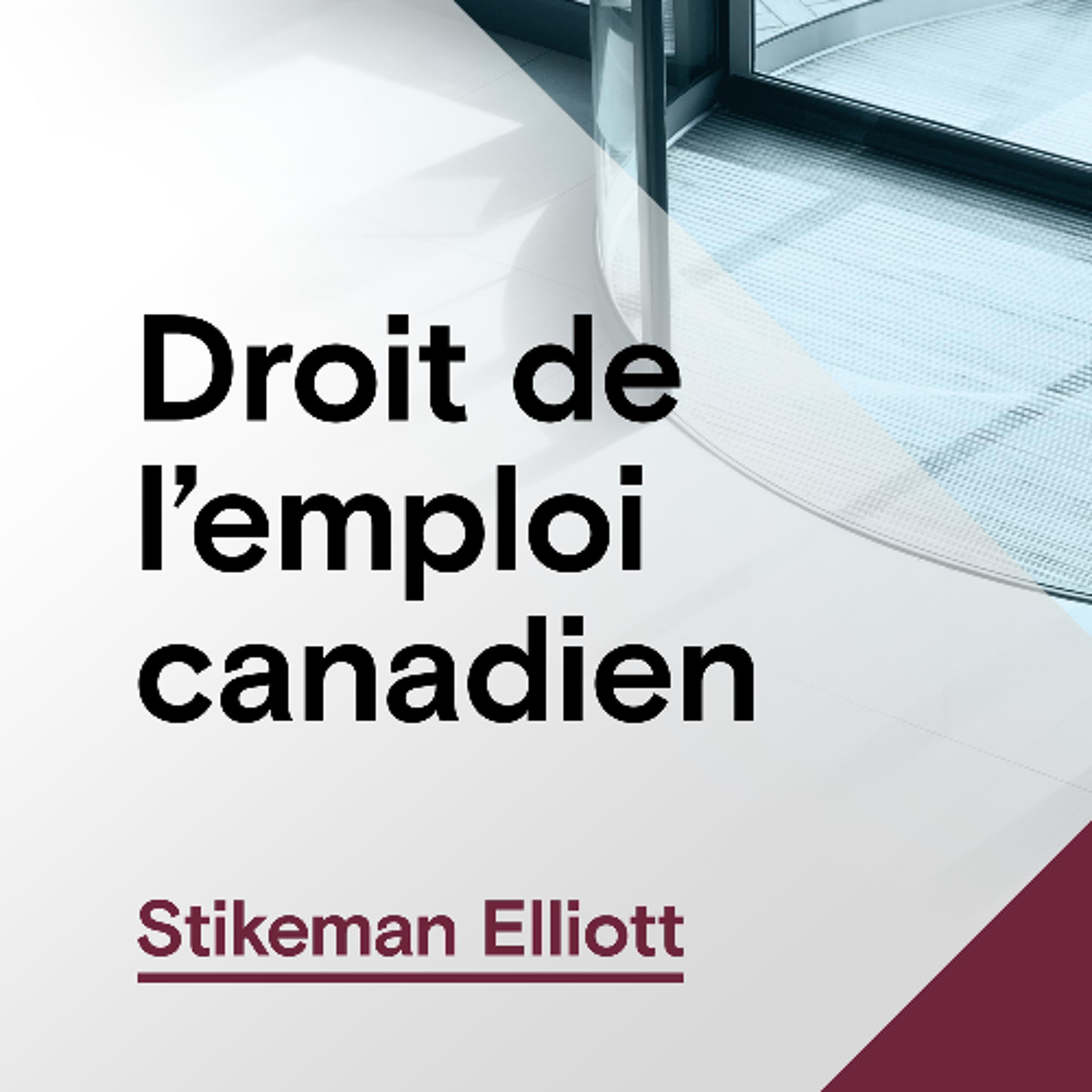 Épisode 9 - Les mécanismes de prévention et de participation en établissement au Québec episode artwork