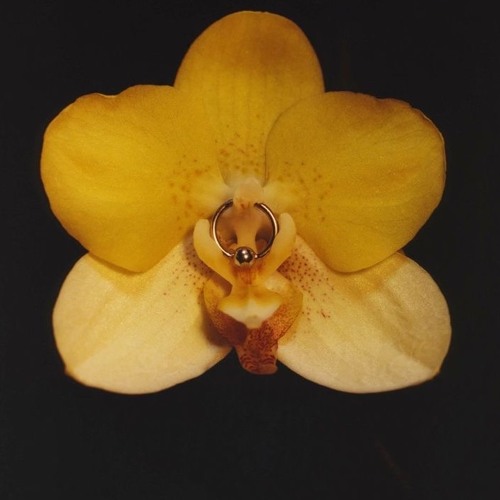 E2