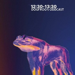 MUTO Studio - Dogfrog's Oddcast