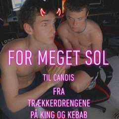 For Meget Sol (Slaskedreng&Bobs x Valdefar)