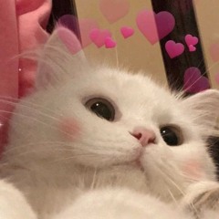 ✰ 𝐓𝐮𝐭𝐮 - 𝐄𝐝𝐢𝐭 𝐀𝐮𝐝𝐢𝐨 ✰
