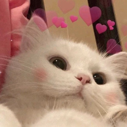 ✰ 𝐓𝐮𝐭𝐮 - 𝐄𝐝𝐢𝐭 𝐀𝐮𝐝𝐢𝐨 ✰