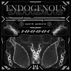 spirit galore - Endogenous