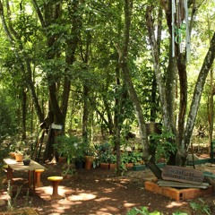 26.02.2022 - Cap. X - Bem Aventurados os Misericordiosos - Reconciliar-se com os Adversários (5)