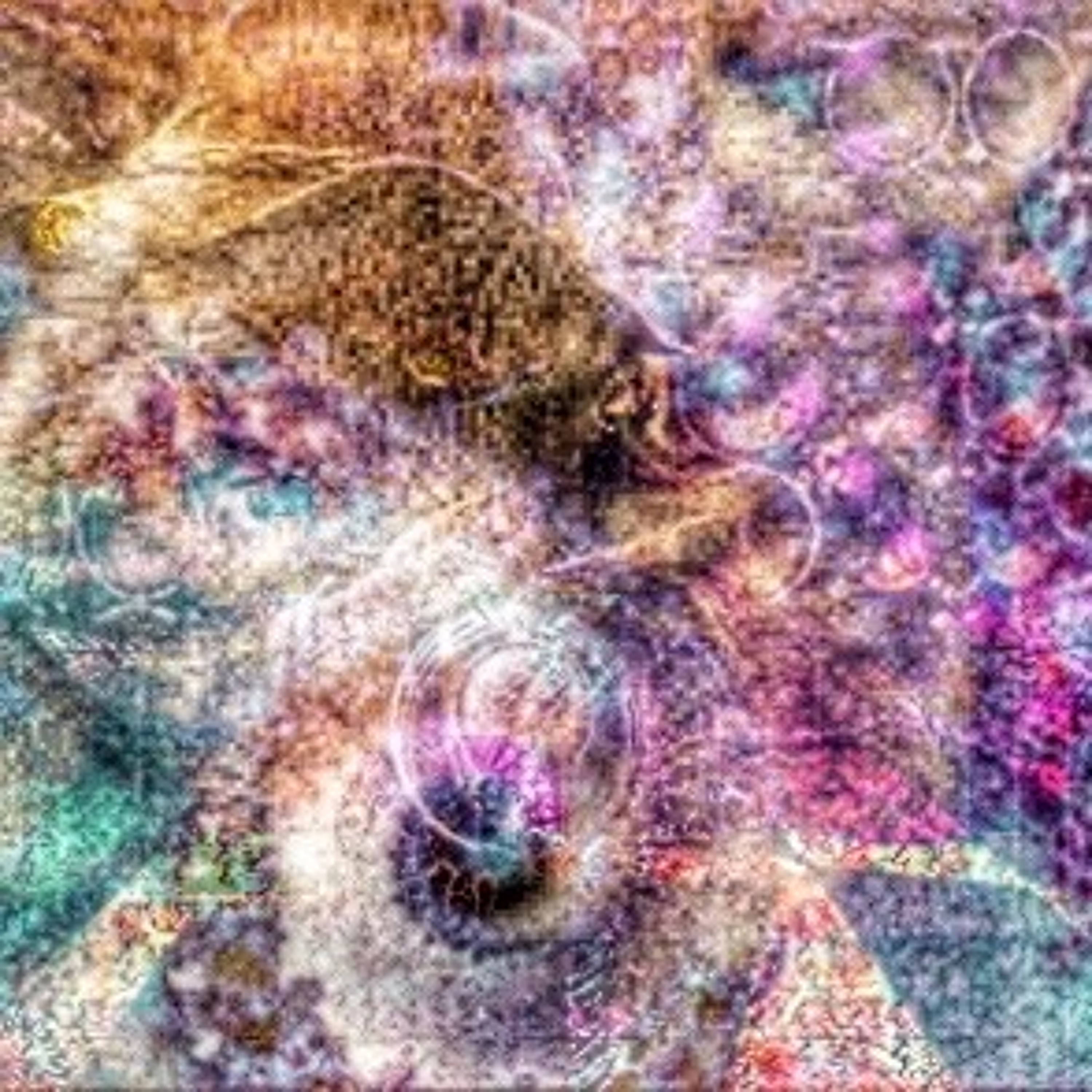 UNTITLED023 episode artwork