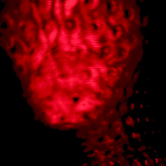Chant de la garde rouge
