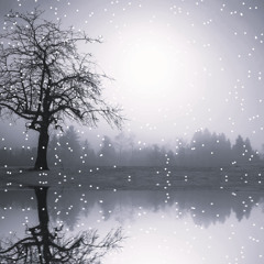 Im Kielwasser