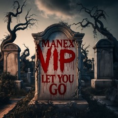 MANEX - LET YOU GO VIP