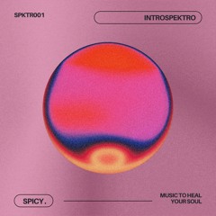 PREMIERE: Introspektro - Spicy. [SPKTRE Records]