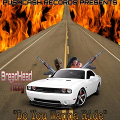 Do You Wanna Ride