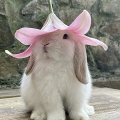 what kind of awesome is this