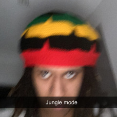 JUNGLE MODE