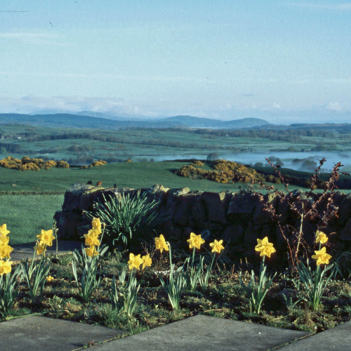 Rhonehouse Suite for String Quartet