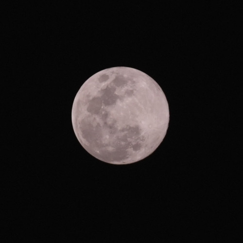 Message from the Moon Portal -- Your Light Is Eager to Embody You