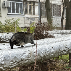 прокидаюсь