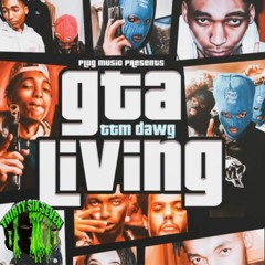 TTM Dawg & Lil Dude - Vice City