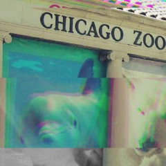 Evulholic - Chicago Zoo (Prod By Robotehnika )(Mastered By Evulholic)