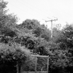 Future Less Vivid #2