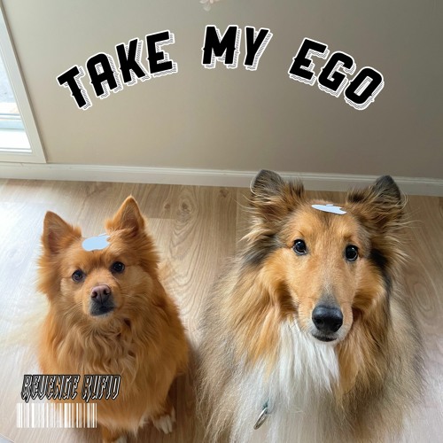 TAKE MY EGO
