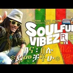 Best Reggae Selection - Soulful Vibez - DJ Alemaeroots በልጅ፡ዓለሜ Ethio - Lion Sound ቁጥር ፪