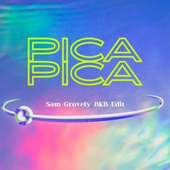 PICA PICA BKB ( Sam Grovely Edit )