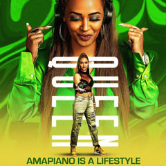 AMAPIANO BEATS VOL.2