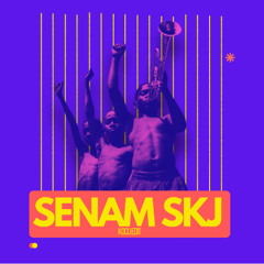 SENAM SKJ (KOCU EDIT) BUY = FREE DWONLOAD