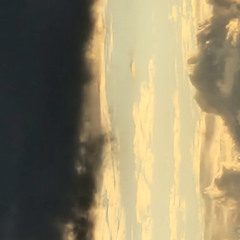 efwss_b1