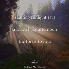 a warm hazy afternoon [naviarhaiku592]