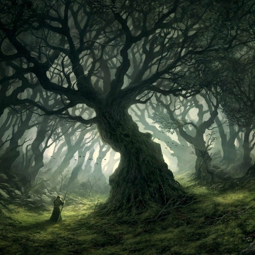 Yulia Petrova - Sequoia (2020)