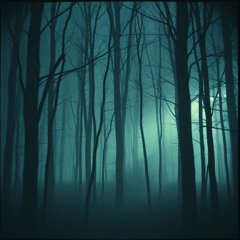 Lost in the Echoes