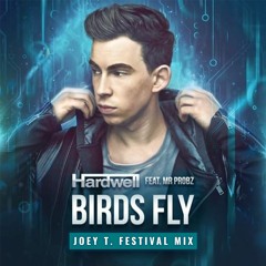 Hardwell, Mr. Probz - Birds Fly (Joey T. Festival Edit)[Free Download]