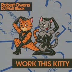 Work This Kitty (Alternative Mix) [feat. DJ Matt Black]