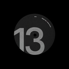 dot13 - Dumitru Prunariu