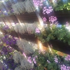 lil soda boi - paint by numbers prod cvctus flansie loesoe