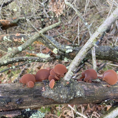 #untitled #unmastered reflections1