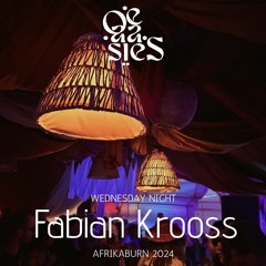Fabian Krooss - OE-AA-SIES - Wednesday Night @ Afrikaburn 2024