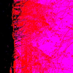 A Dark Forest ( The Cure, A Forest - Darkwave Edit)