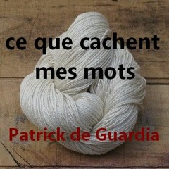 ce que cachent mes mots