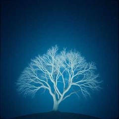Mind , body and Soul