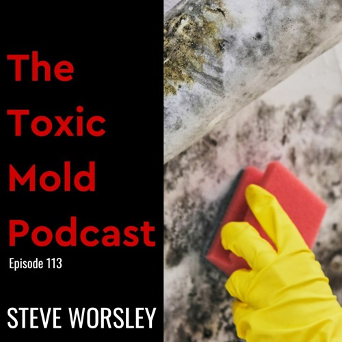 EP 113: Is There an Easy Fix to Get Rid of Mold?