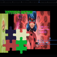 DRILLA + pixelprincess interior autism prod me