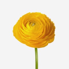 Someone To Watch Over Me - George & Ira Gershwin 1926