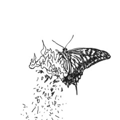 AIR