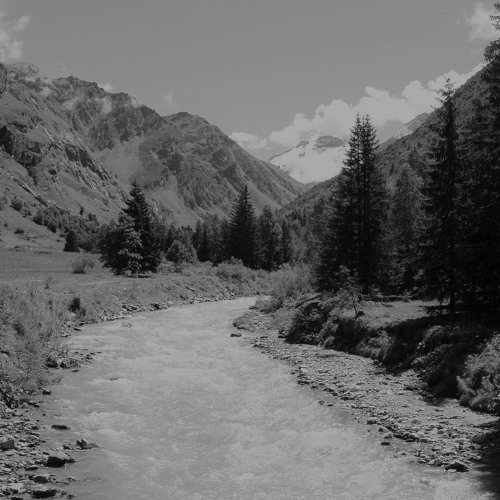 Si d'aventure