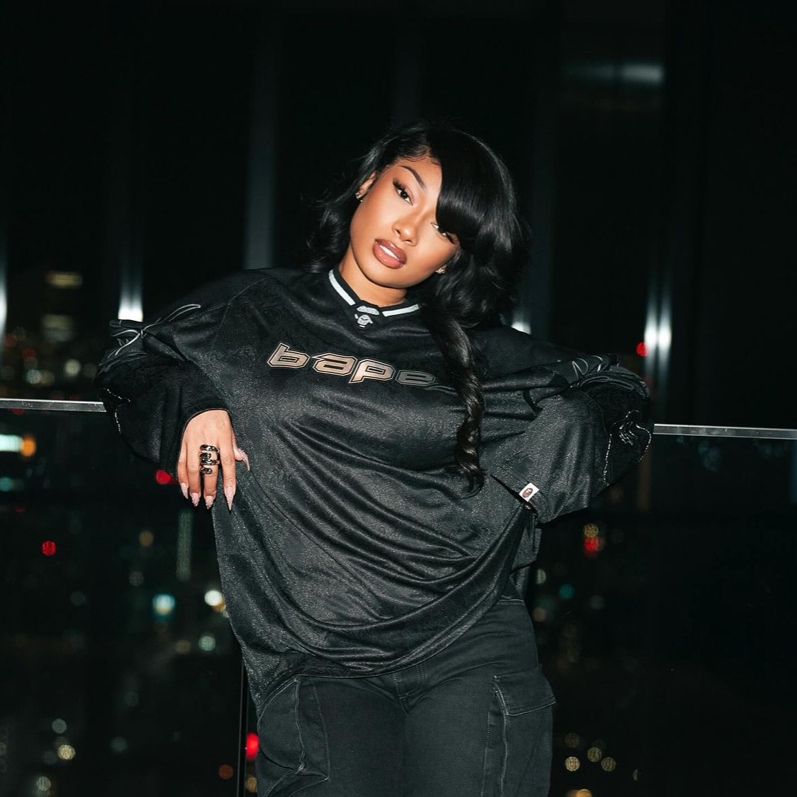 Megan Thee Stallion – HISS Remix (Ludacris – My Chick Bad)