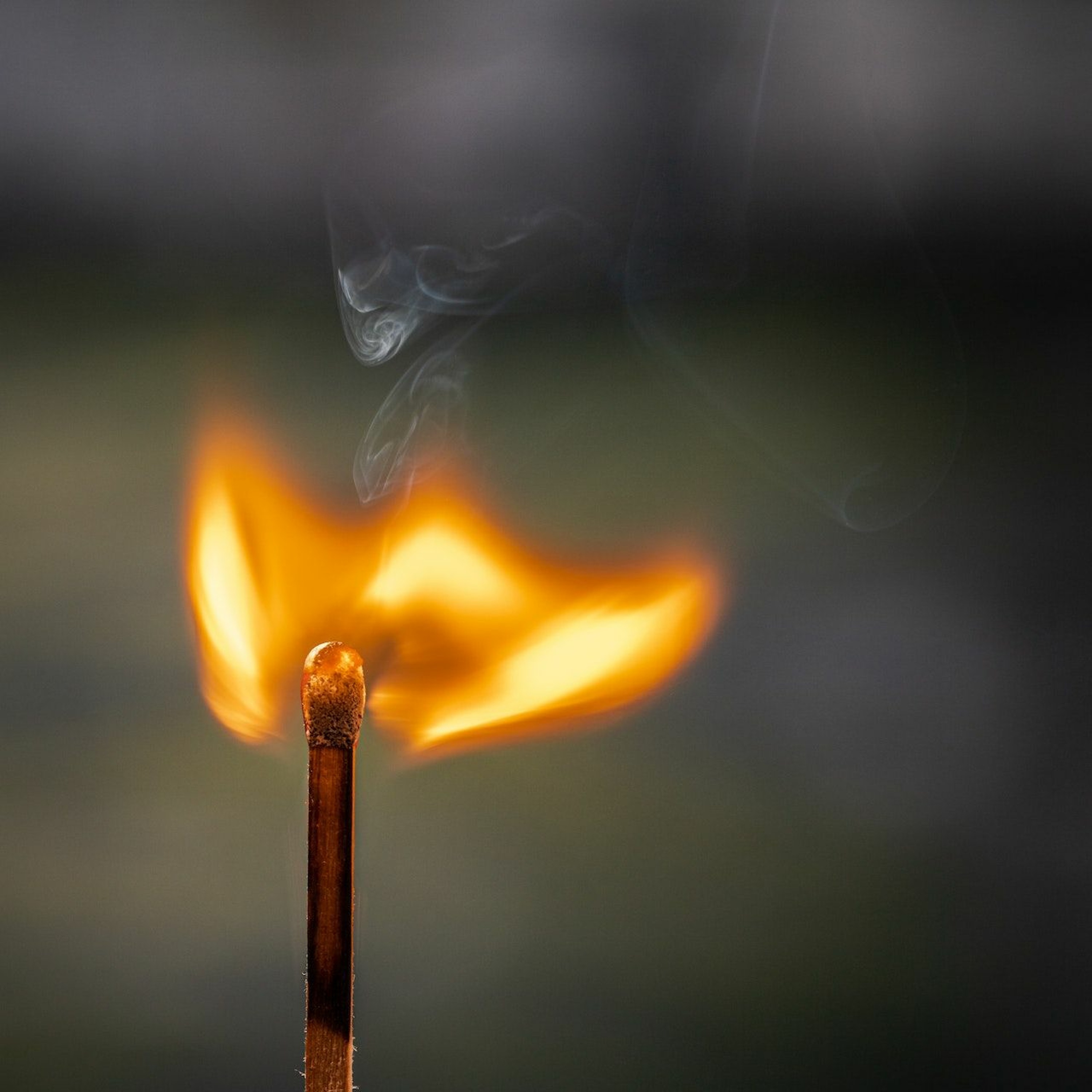 Controlled Burn episode artwork