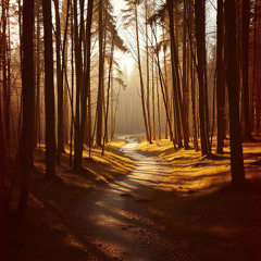 Mindy Chisholm - Slow & Steady